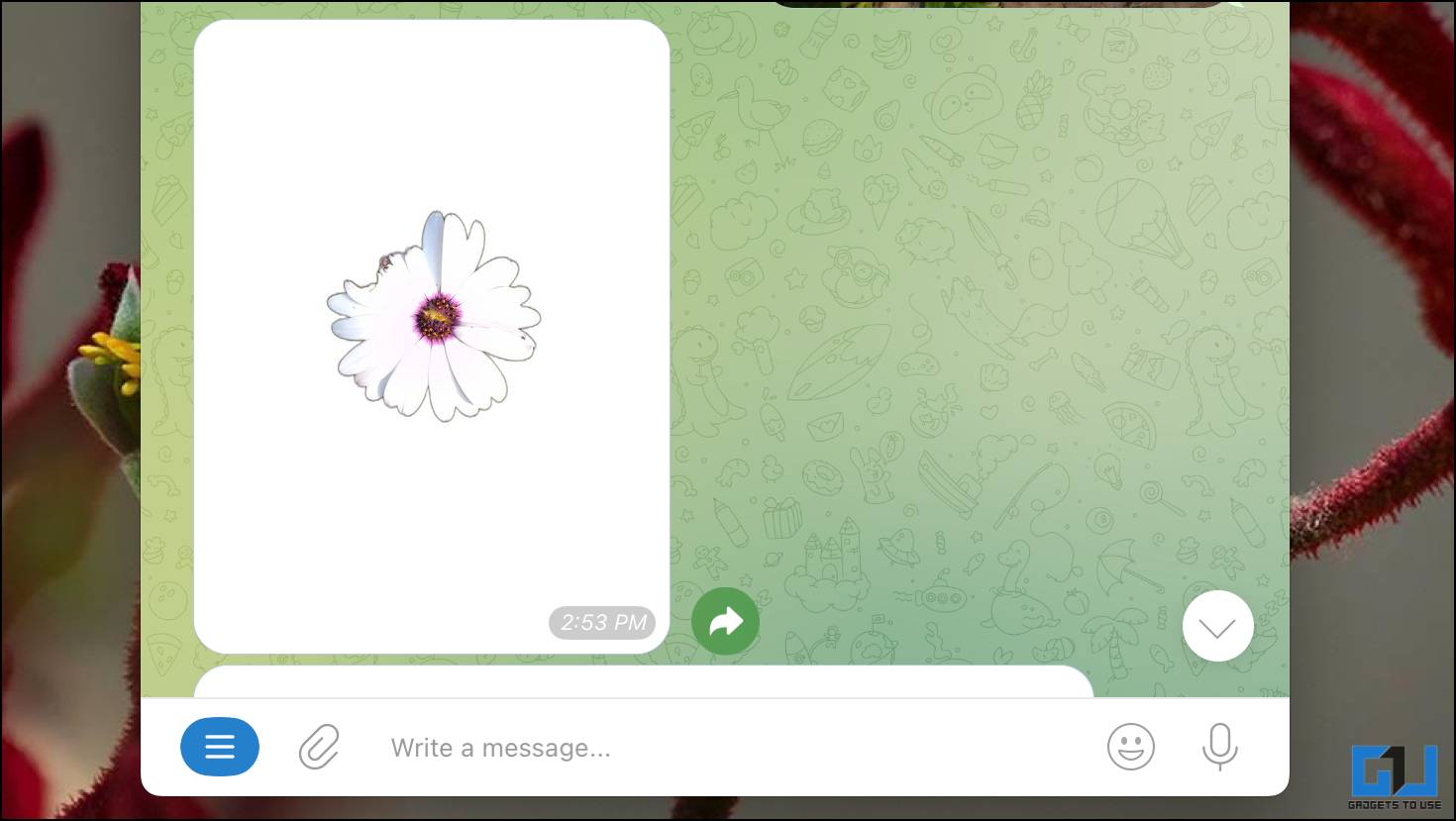 حذف پس زمینه تصویر در مک