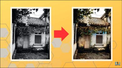 ۸ بهترین ابزار هوش مصنوعی برای رنگی کردن عکس های سیاه و سفید قدیمی شما