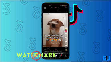 ۳ روش برای دانلود ویدیوهای TikTok بدون واترمارک در اندروید و آیفون